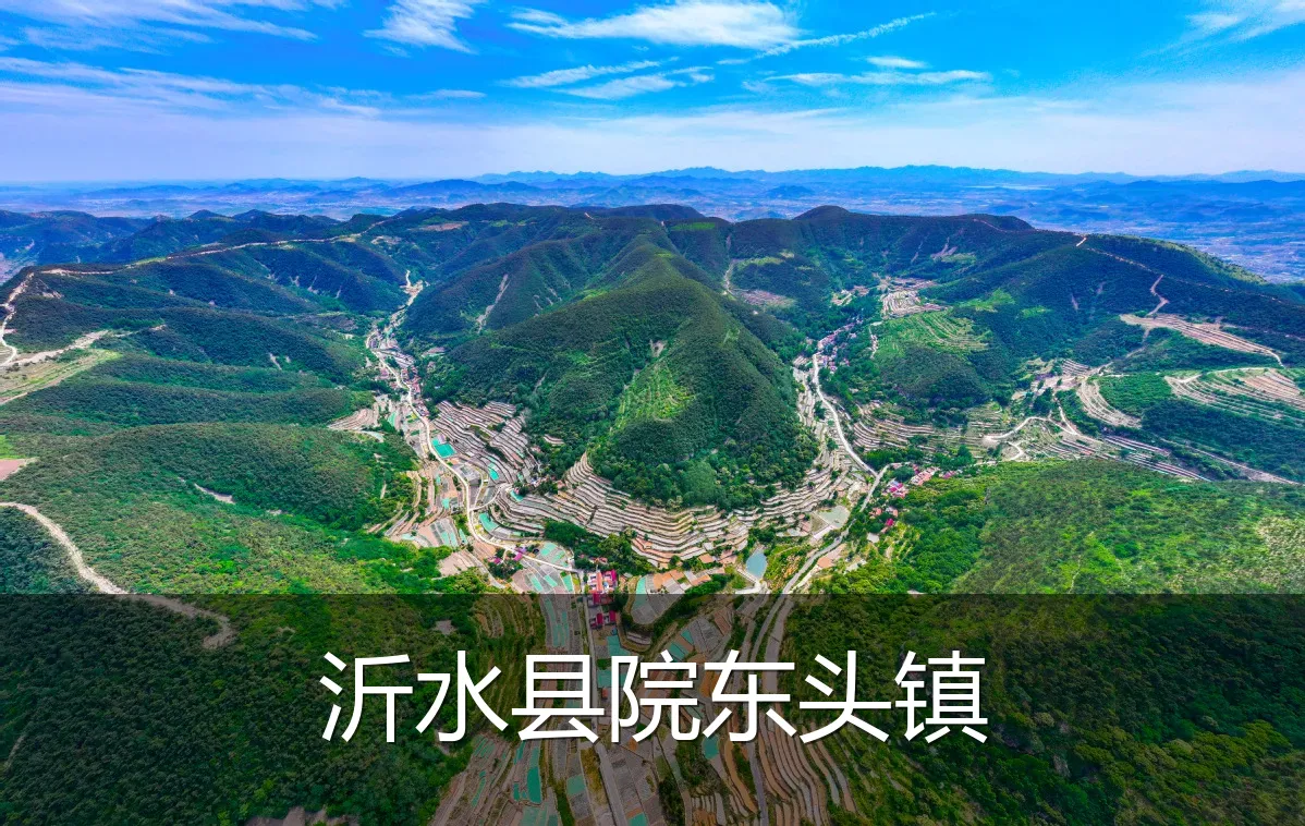 沂水县院东头镇