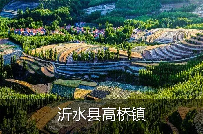 沂水县高桥镇