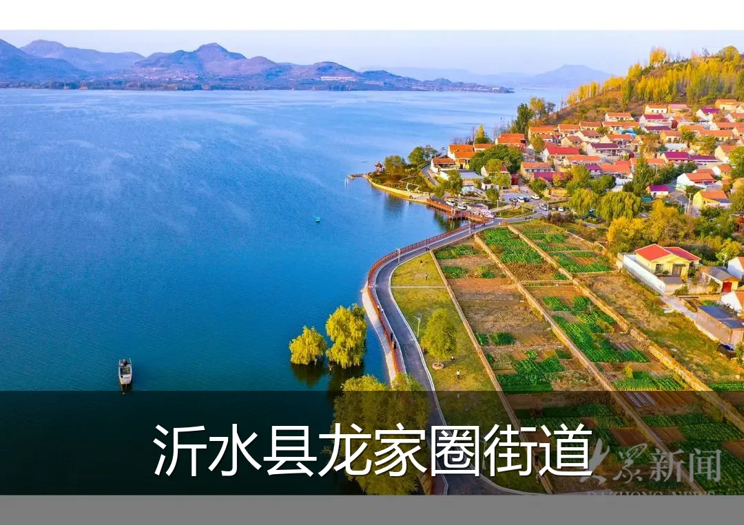 沂水县龙家圈街道